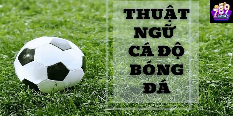 thuật ngữ cá độ bóng đá Bảng thuật ngữ cá độ bóng đá cần ghi nhớ