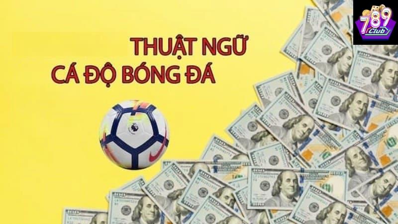 thuật ngữ cá độ bóng đá Các thuật ngữ cá độ bóng đá phổ biến