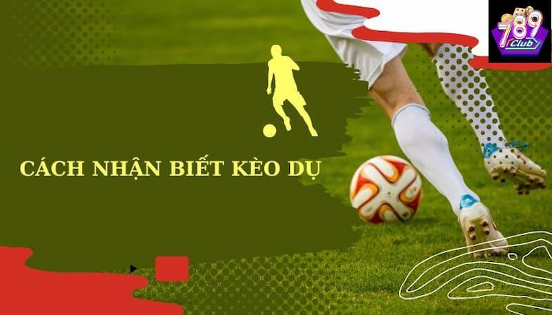 Cách nhận biết kèo dụ Khám phá bản chất cách nhận biết kèo dụ