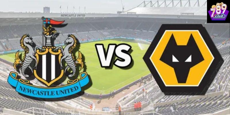 Phong độ và tình hình hiện tại của Newcastle và Wolves