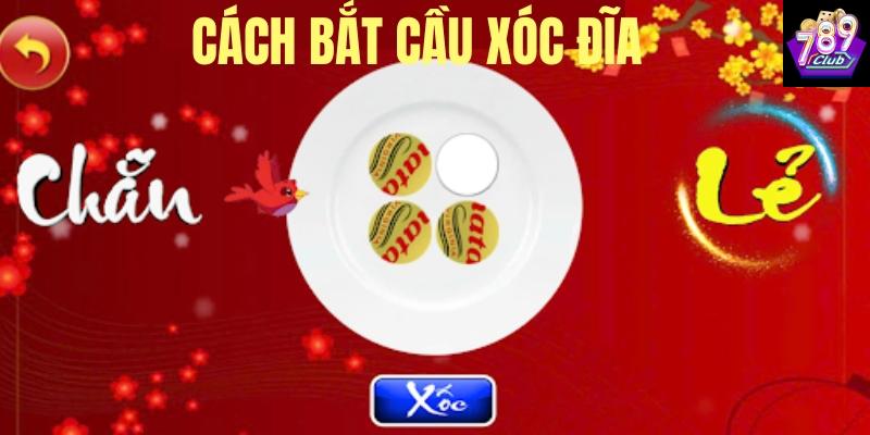 Tìm hiểu về cách bắt cầu xóc đĩa